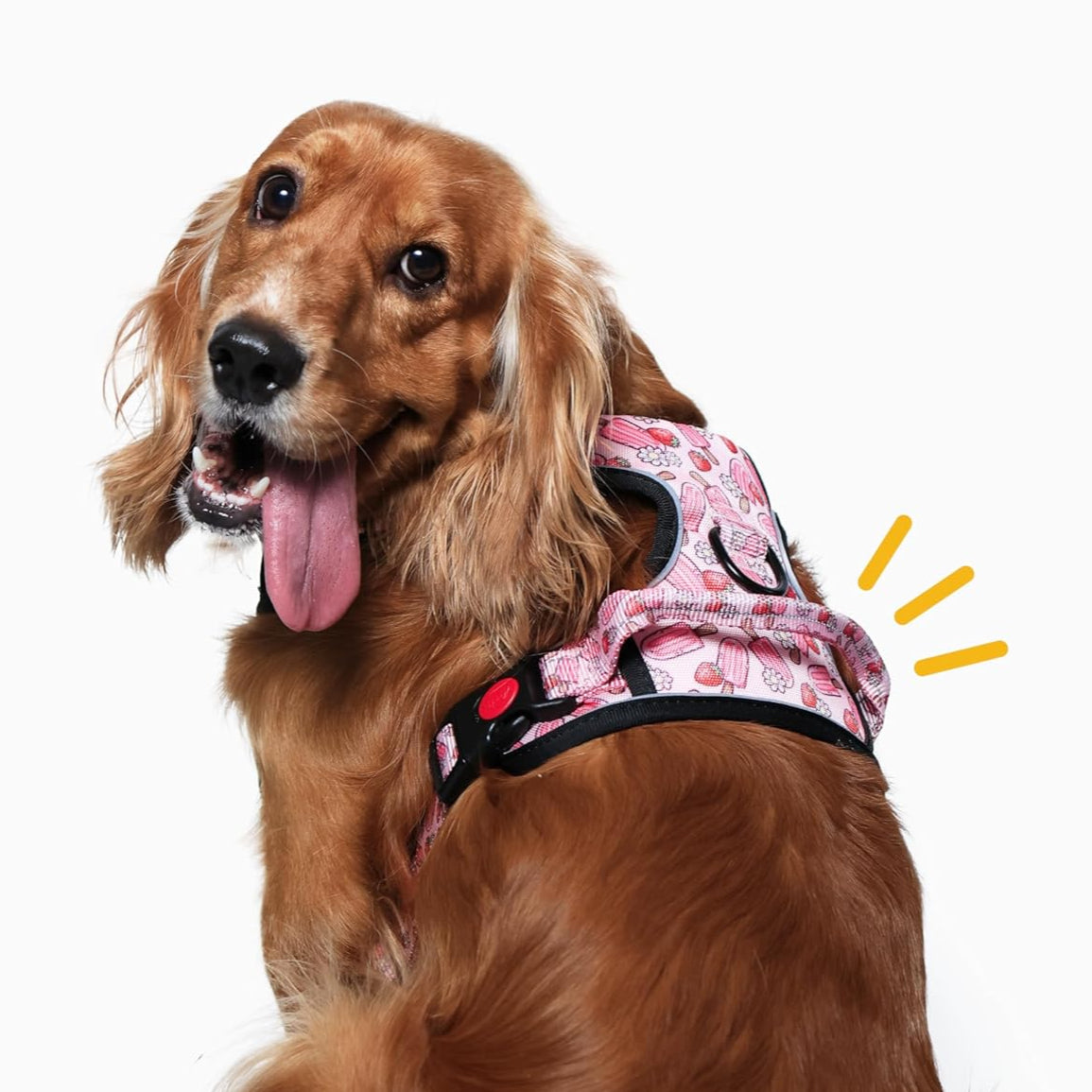 Pupcicle Party Reflective Dog Harness