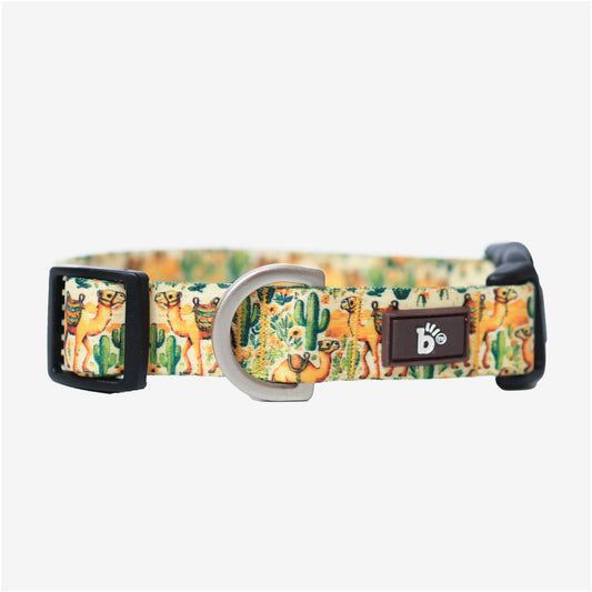 Dune Drifter Dog Collar