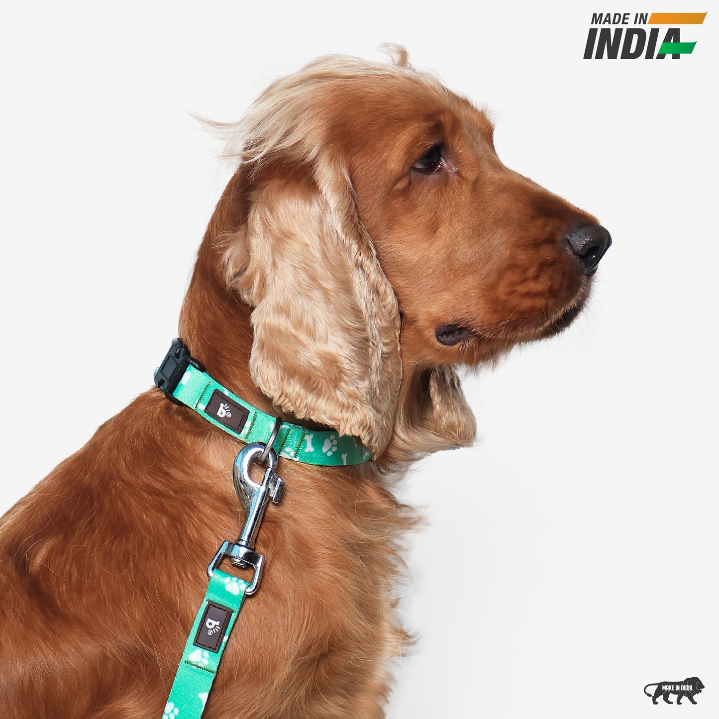 Paws & Bones Dog Collar