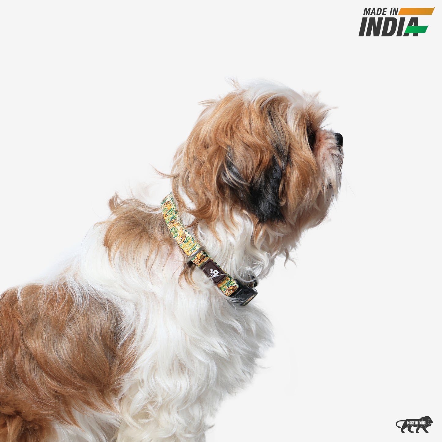 Dune Drifter Dog Collar