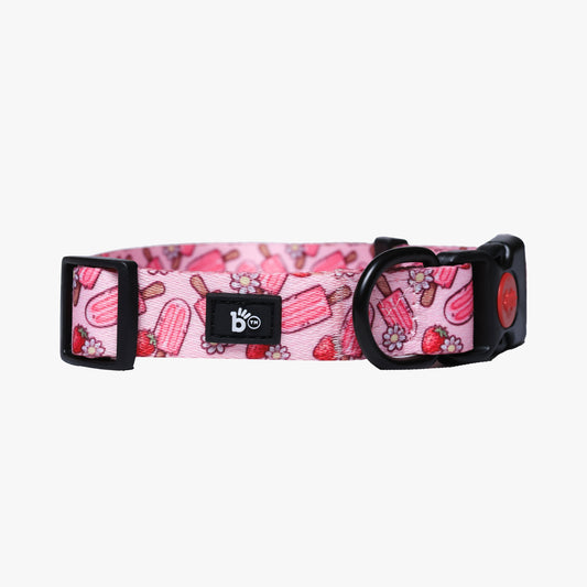 Pupcicle Party Adjustable Dog Collar