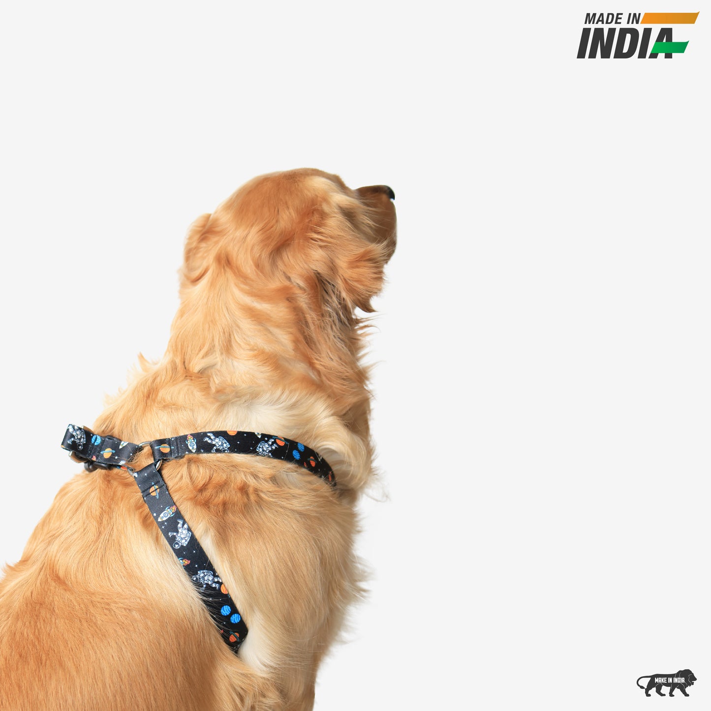 Cosmic Canine Step-In Harness