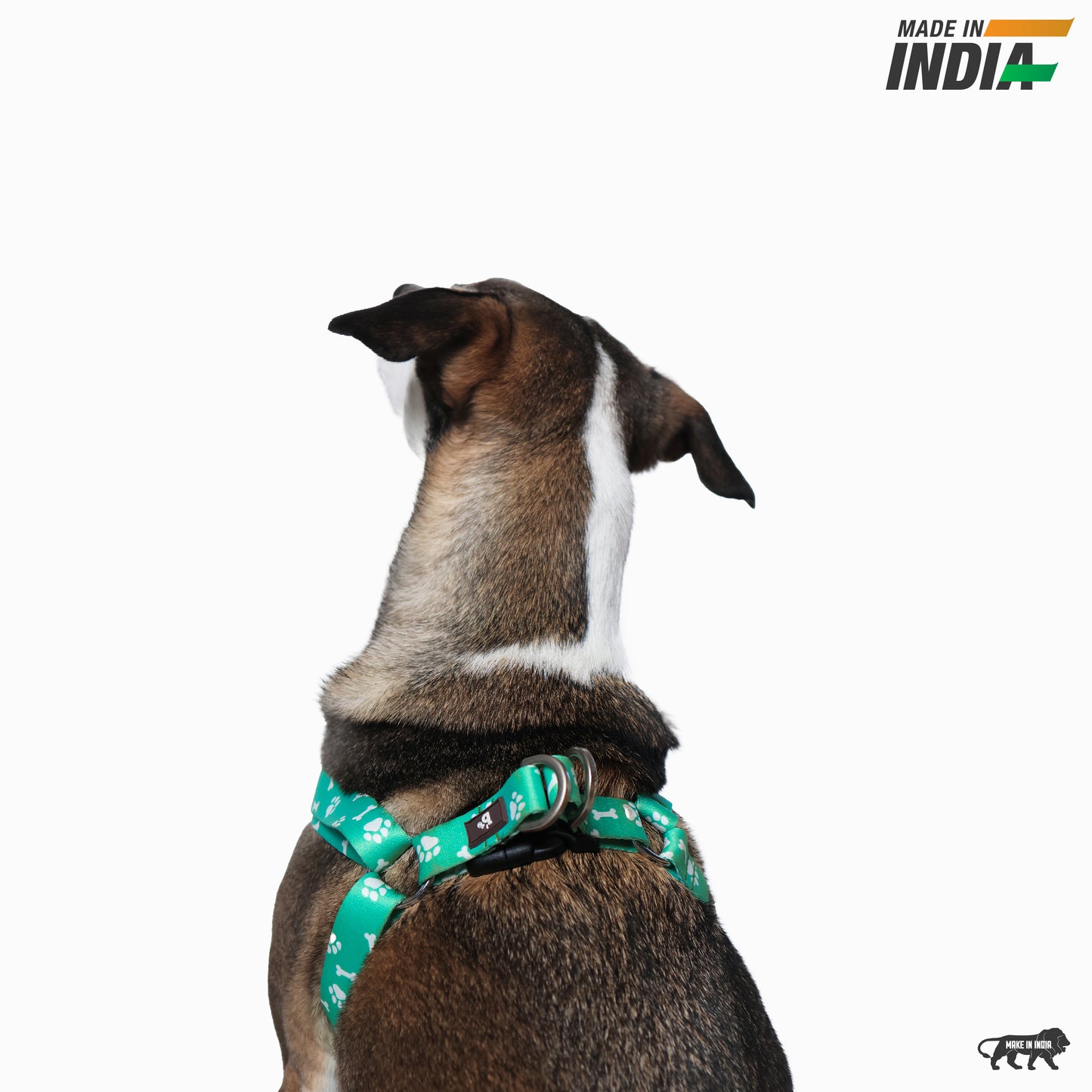 Paws & Bones Step-In Harness