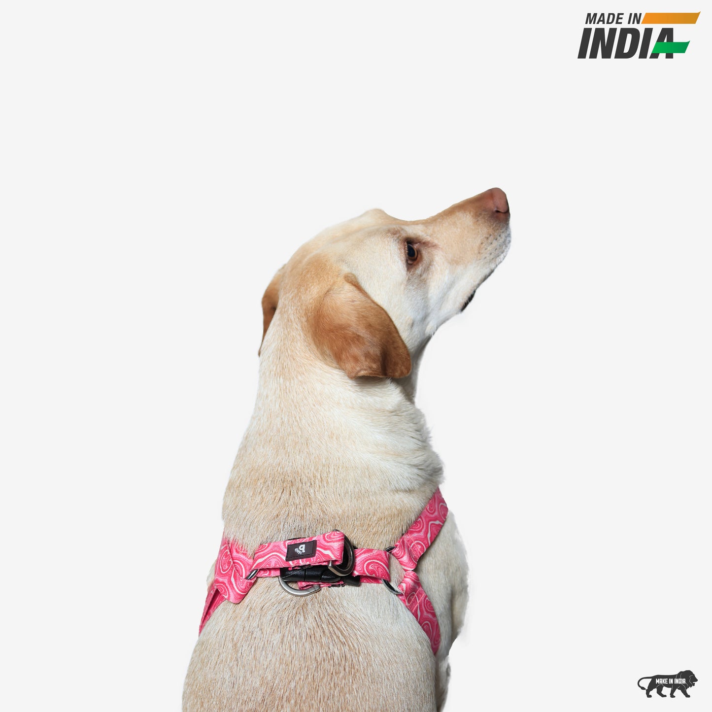 Puppy Blush Step-In Harness