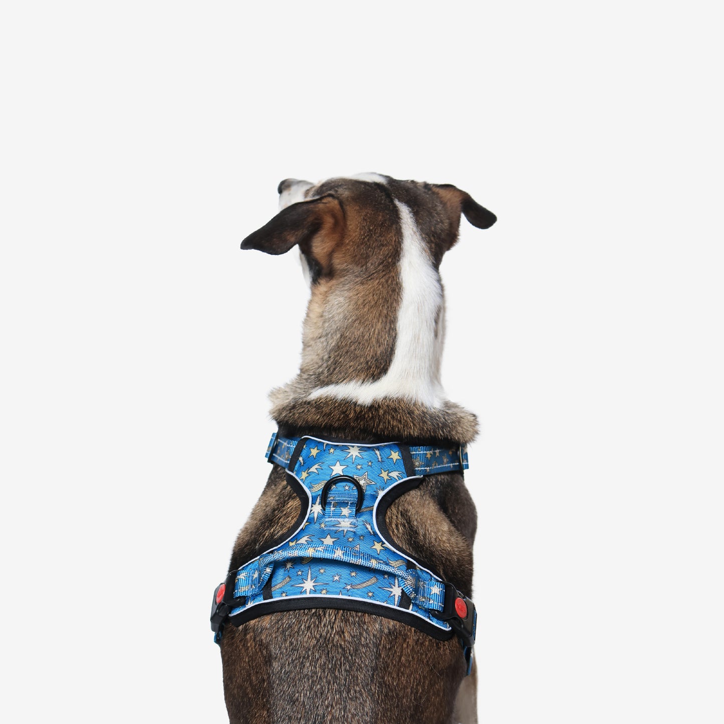 Nebula Nights Reflective Dog Harness