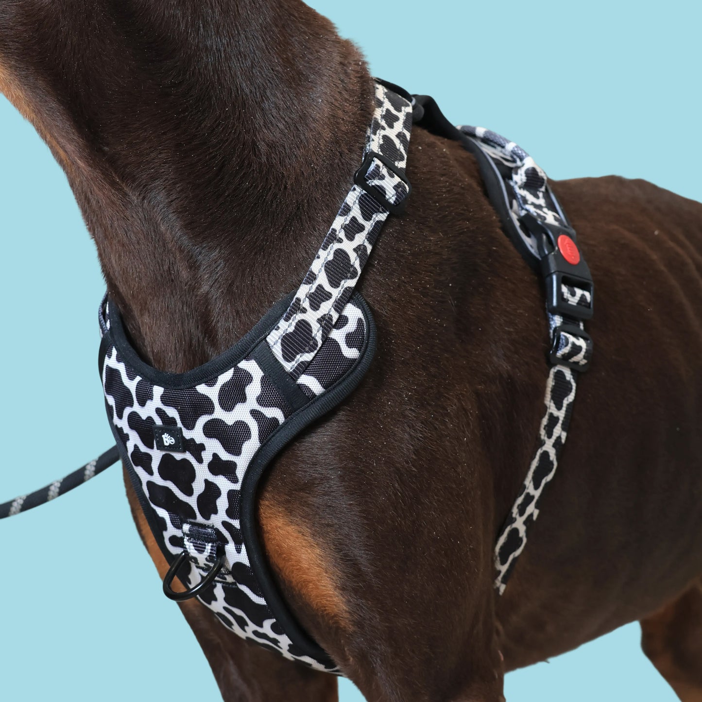 Moo-ve Over Reflective Dog Harness
