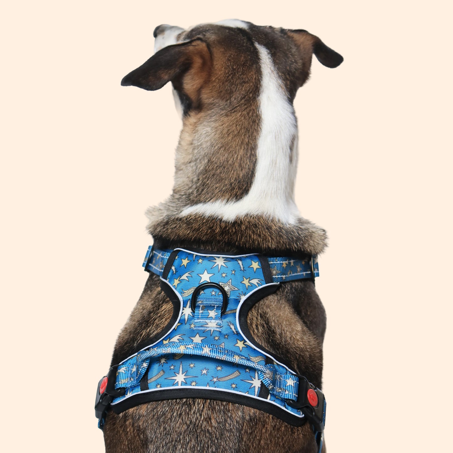 Nebula Nights Reflective Dog Harness