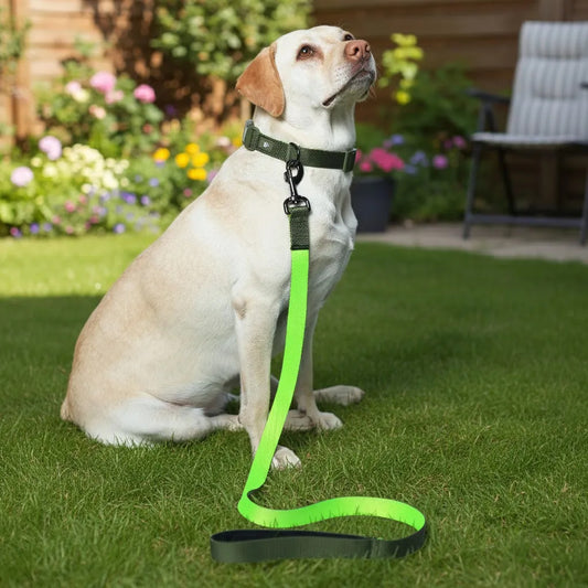 Olive Atlas Dog Leash