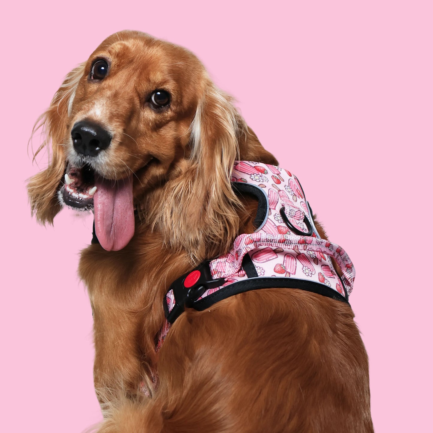 Pupcicle Party Reflective Dog Harness