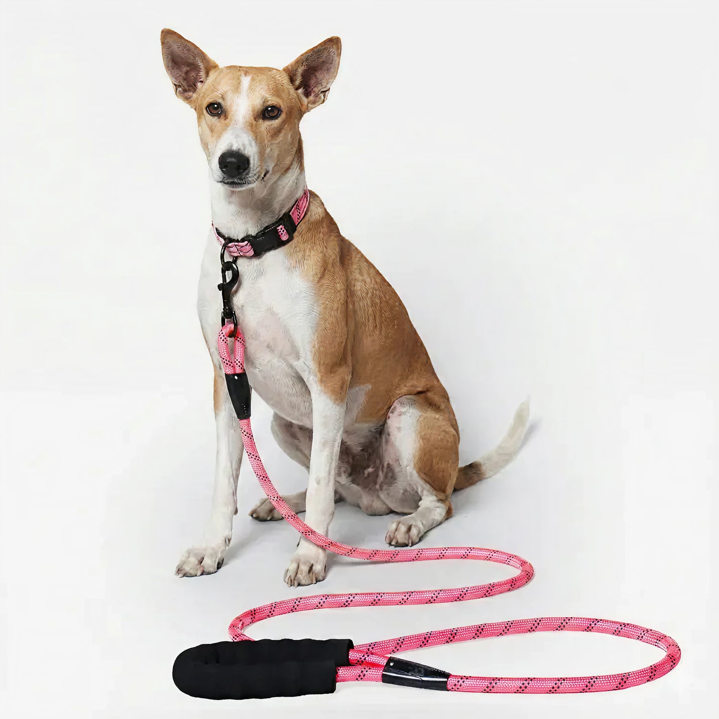 Urban Trek Reflective Rope Leash