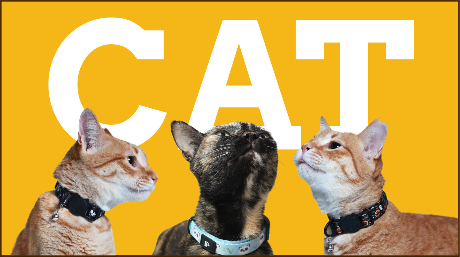 Cats