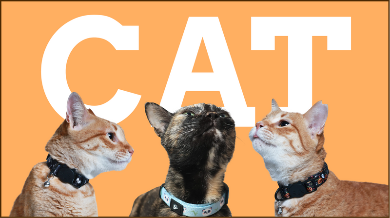 Cats