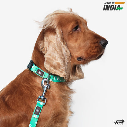 Paws & Bones Dog Collar