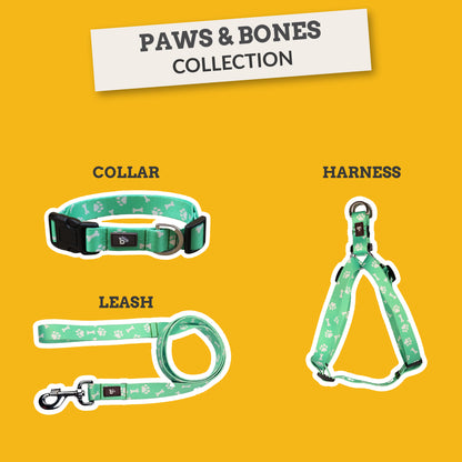 Paws & Bones Flat Dog Leash