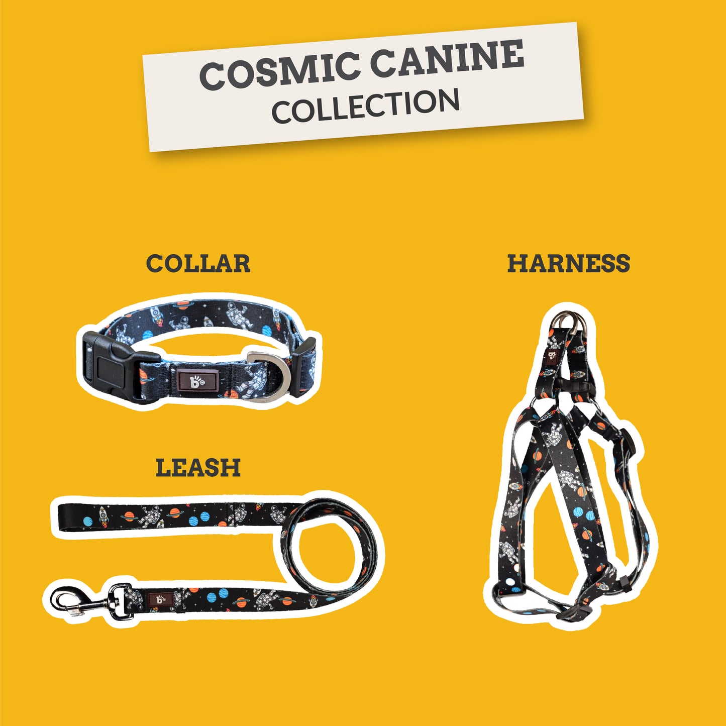 Cosmic Canine Flat Dog Leash