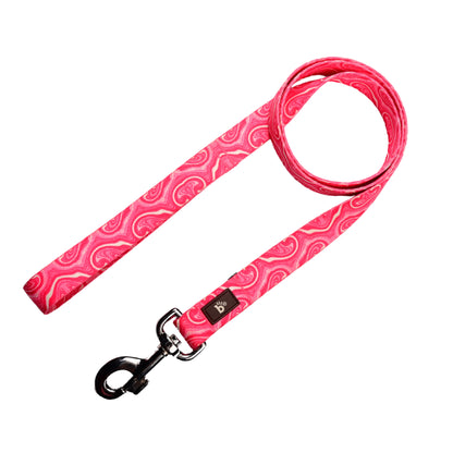 Puppy Blush Flat Dog Leash