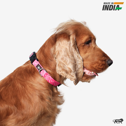 Puppy Blush Dog Collar