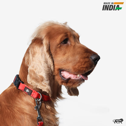 Red Rover Dog Collar