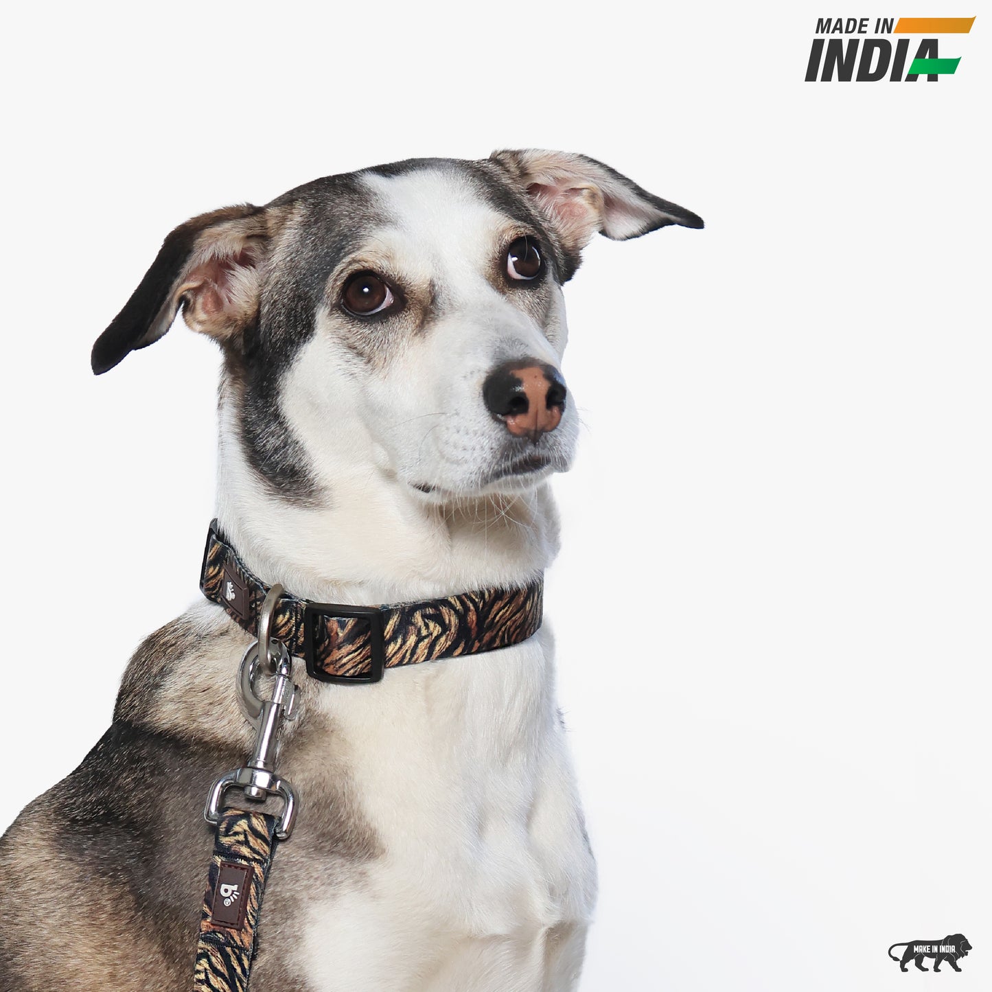 Wild Roar Dog Collar