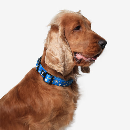 Nebula Nights Adjustable Dog Collar