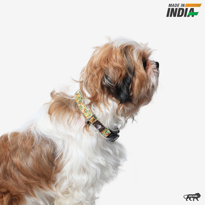Dune Drifter Dog Collar
