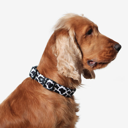 Moo-ve Over Adjustable Dog Collar