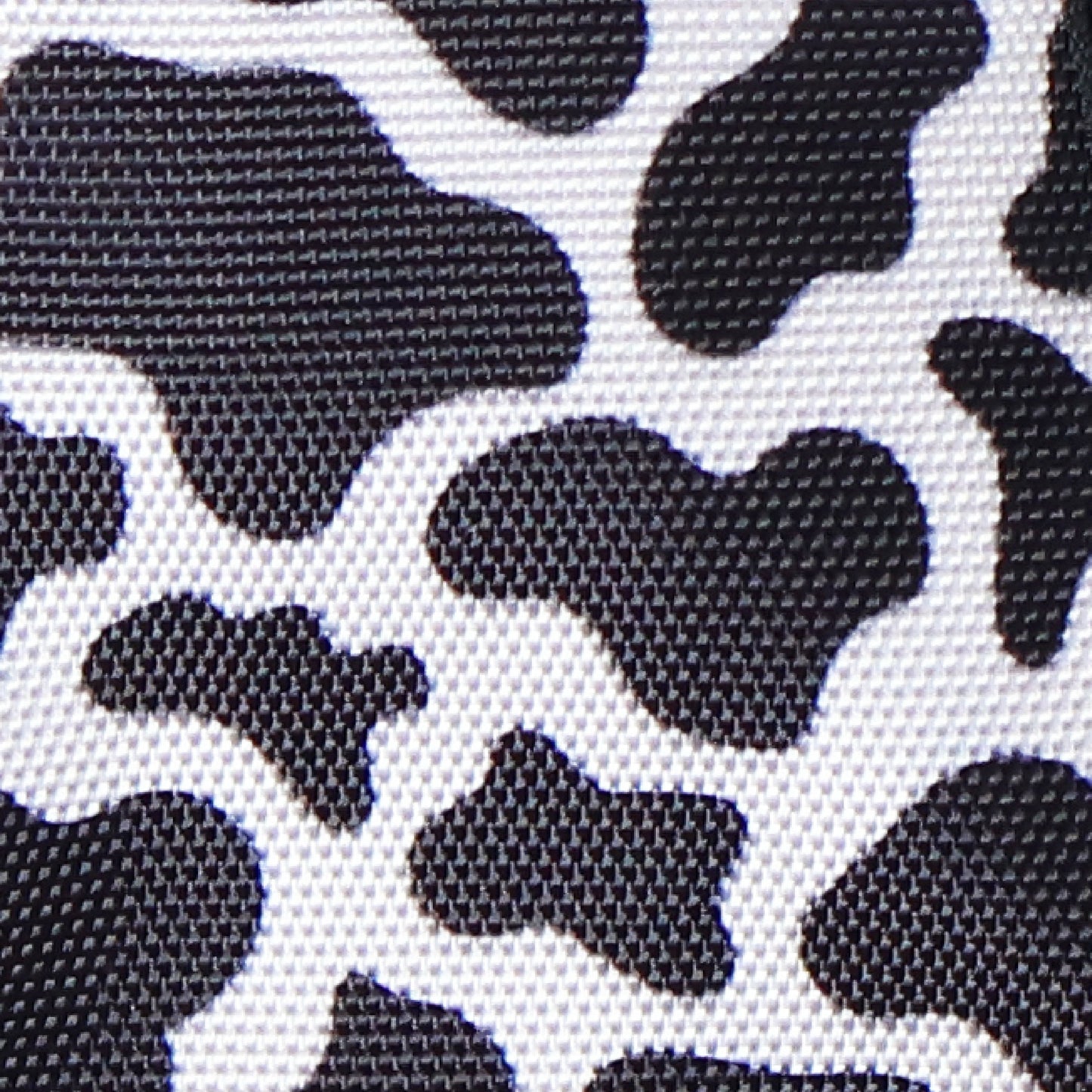 Moo-ve Over Adjustable Dog Collar