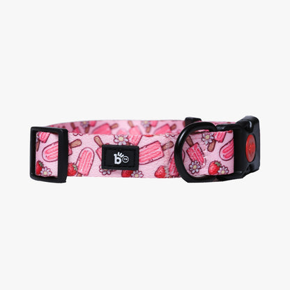 Pupcicle Party Adjustable Dog Collar