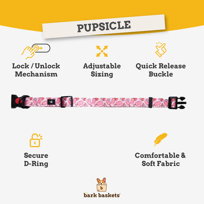 Pupcicle Party Adjustable Dog Collar