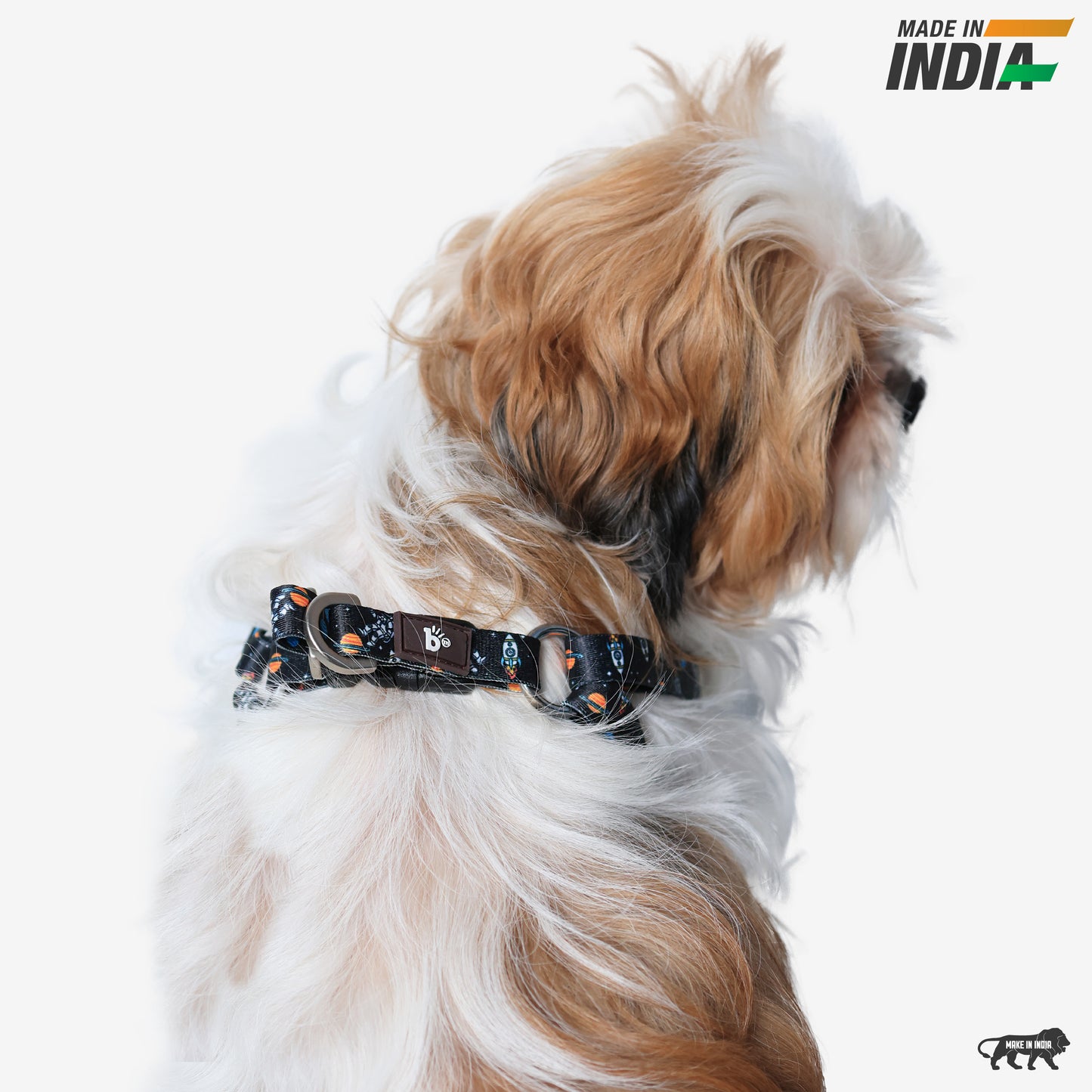 Cosmic Canine Dog Collar