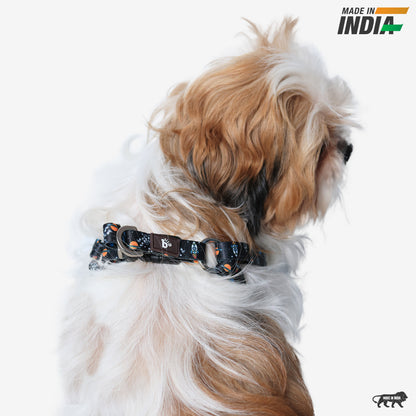 Cosmic Canine Dog Collar