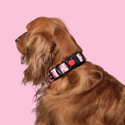 Pupcicle Party Adjustable Dog Collar