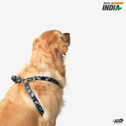Cosmic Canine Step-In Harness