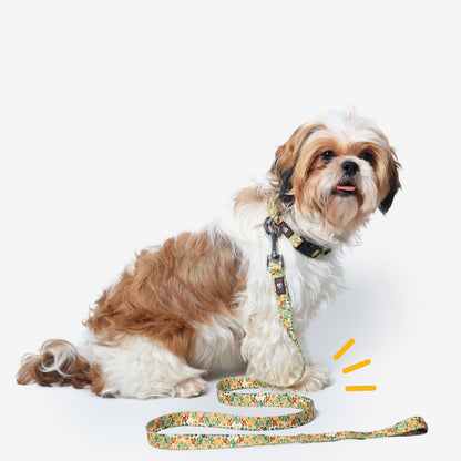 Dune Drifter Flat Dog Leash