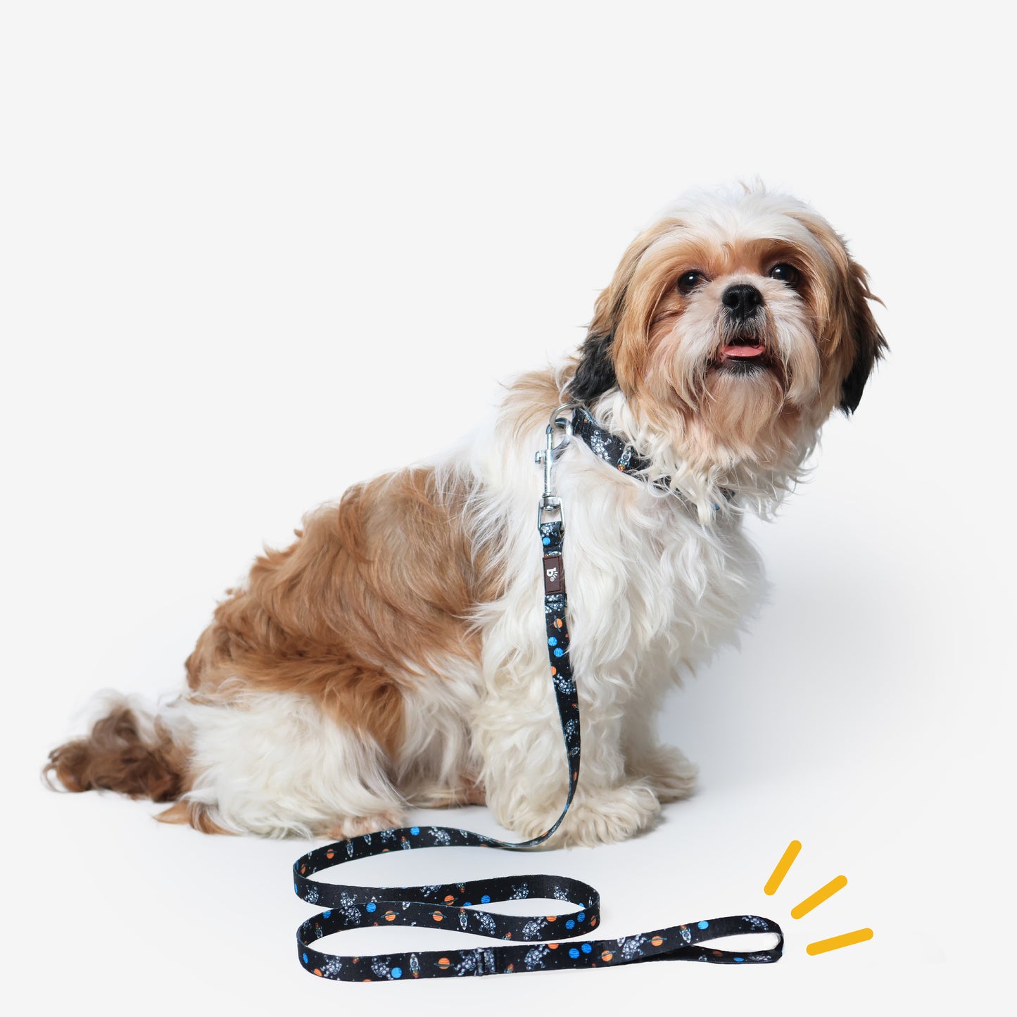 Cosmic Canine Flat Dog Leash