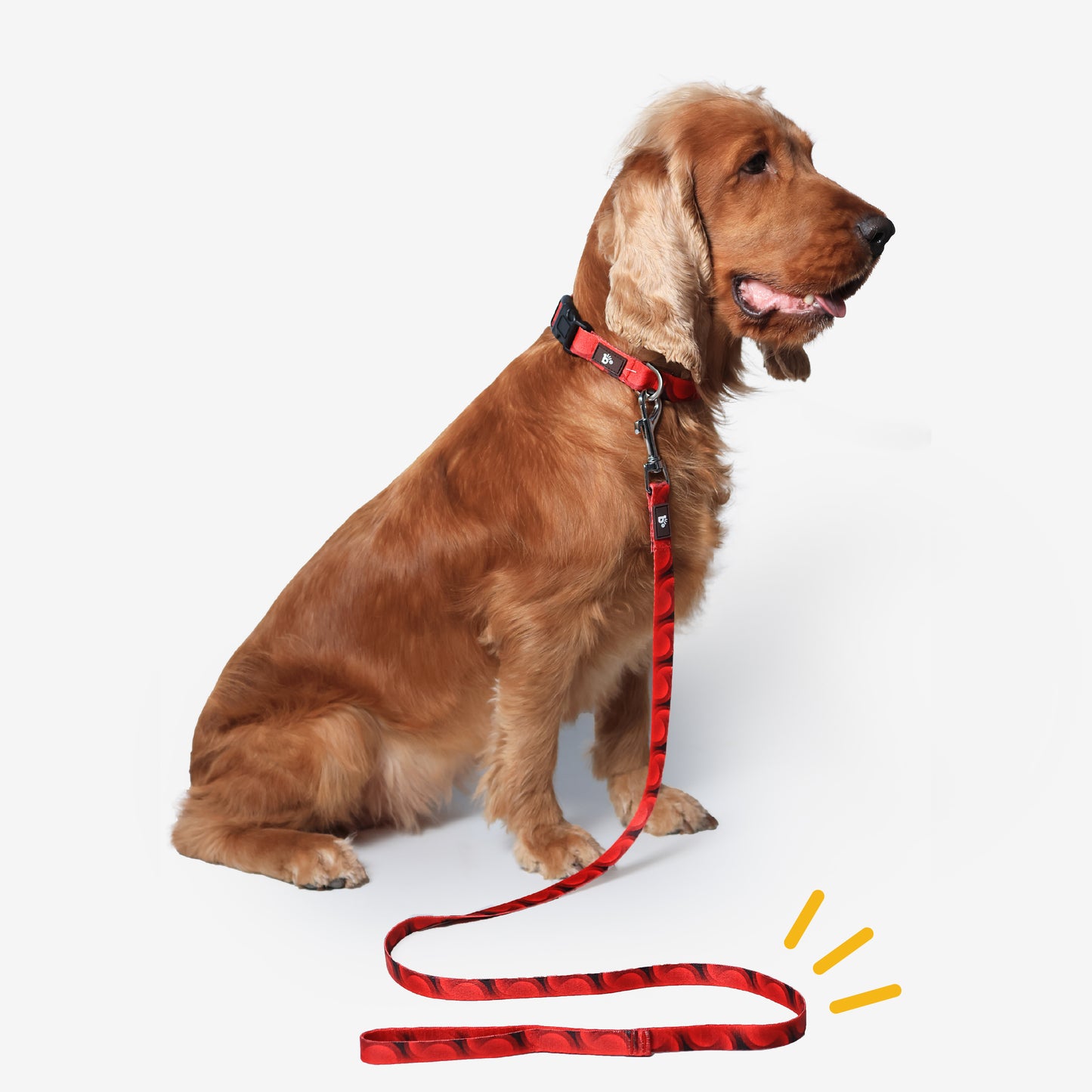 Red Rover Flat Dog Leash