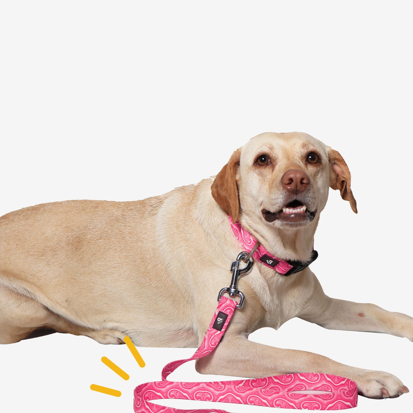 Puppy Blush Flat Dog Leash