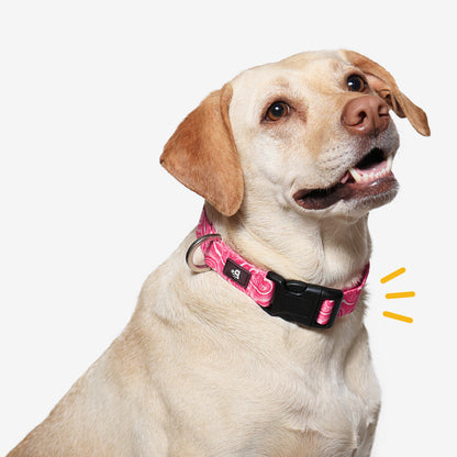 Puppy Blush Dog Collar