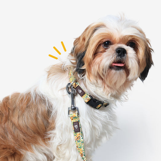 Dune Drifter Dog Collar