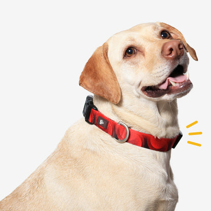 Red Rover Dog Collar
