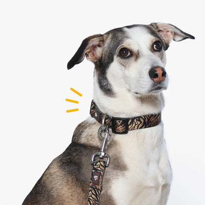 Wild Roar Dog Collar