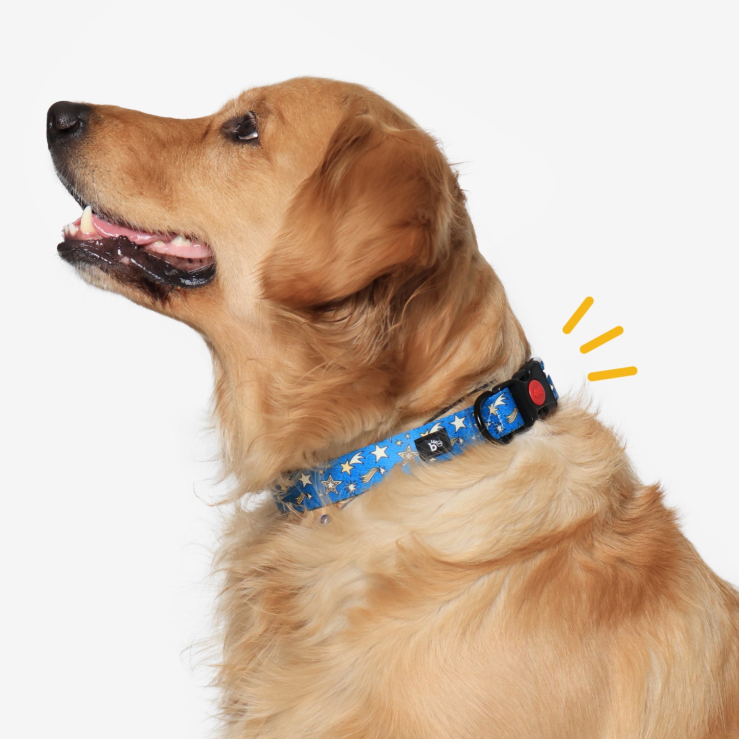 Nebula Nights Adjustable Dog Collar