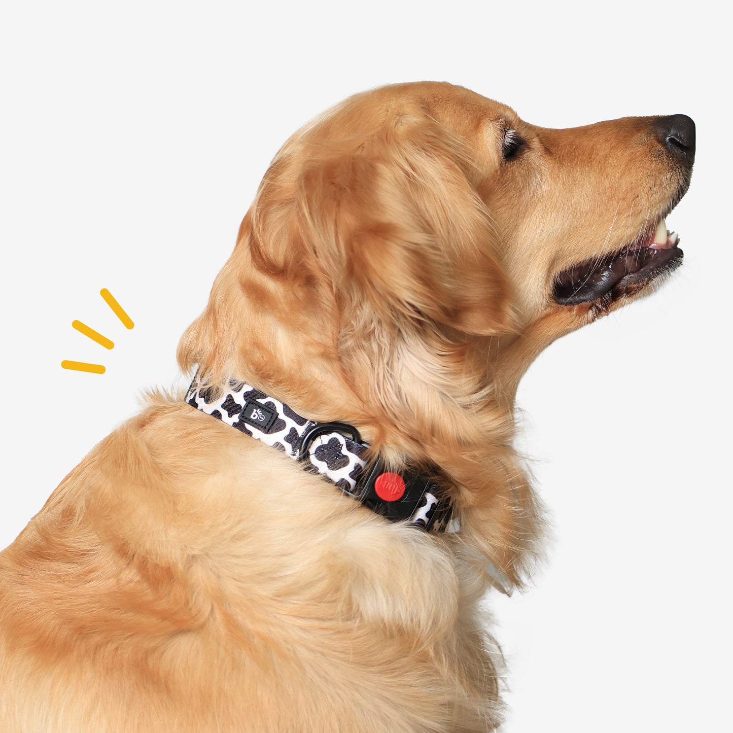 Moo-ve Over Adjustable Dog Collar