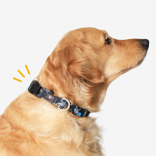 Cosmic Canine Dog Collar