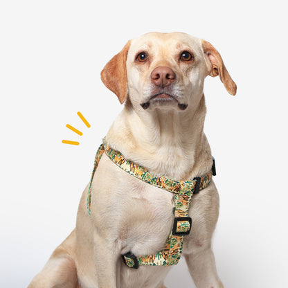Dune Drifter Step-In Harness