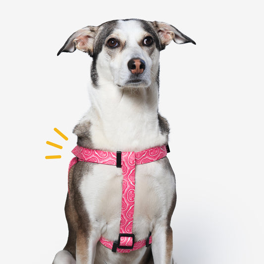 Puppy Blush Step-In Harness