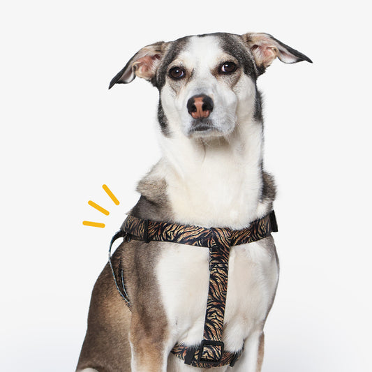 Wild Roar Step-In Harness