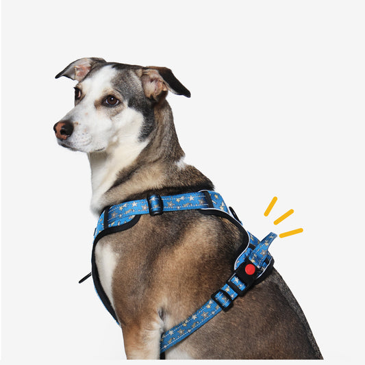 Nebula Nights Reflective Dog Harness