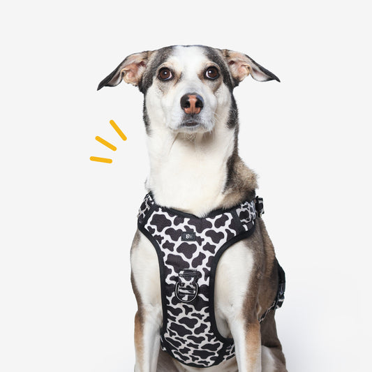 Moo-ve Over Reflective Dog Harness