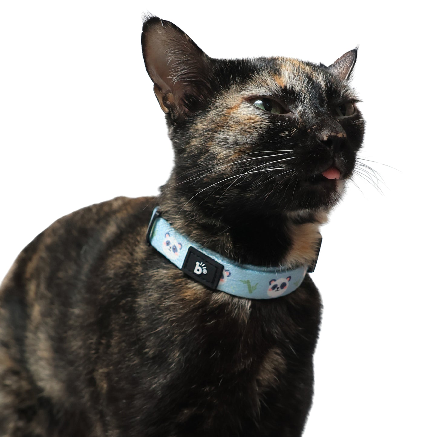 Bamboo Bandit Cat Collar